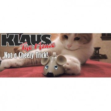 Klaus the mouse