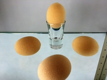 Spons eieren bruin 2