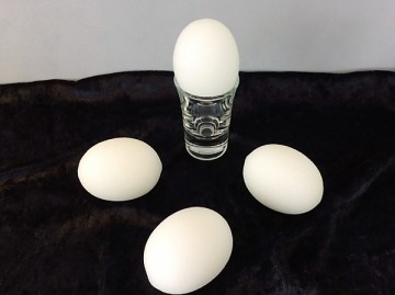 Spons eieren wit 2