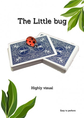 The little bug